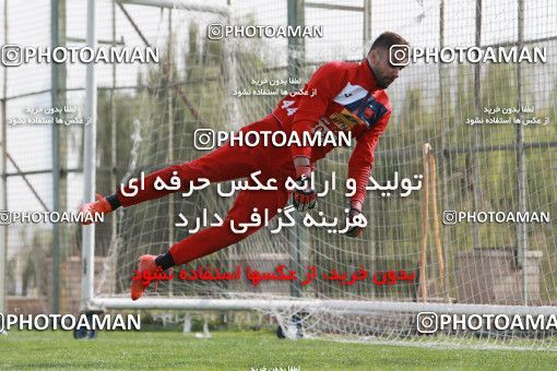 949112, Tehran, , Persepolis Football Team Training Session on 2017/11/22 at 