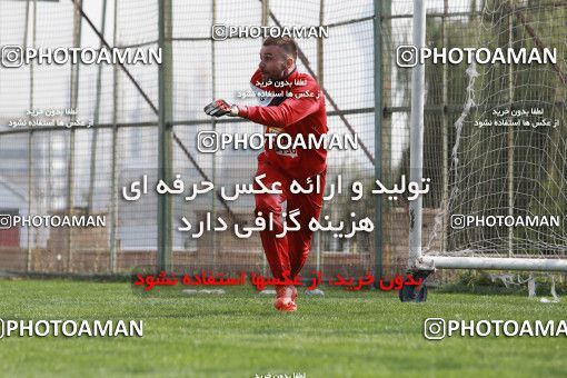 949375, Tehran, , Persepolis Football Team Training Session on 2017/11/22 at 