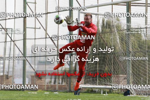 949352, Tehran, , Persepolis Football Team Training Session on 2017/11/22 at 