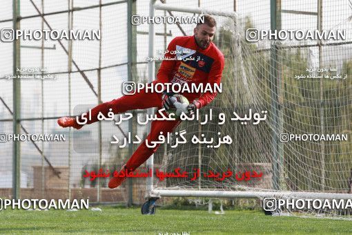 949181, Tehran, , Persepolis Football Team Training Session on 2017/11/22 at 