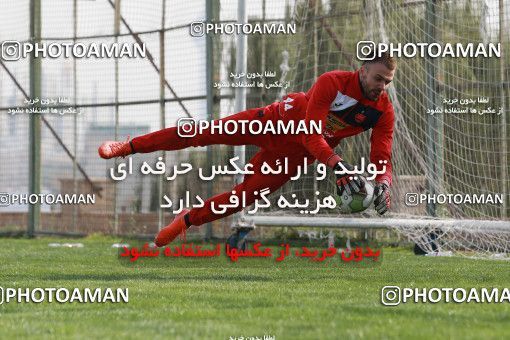 949307, Tehran, , Persepolis Football Team Training Session on 2017/11/22 at 