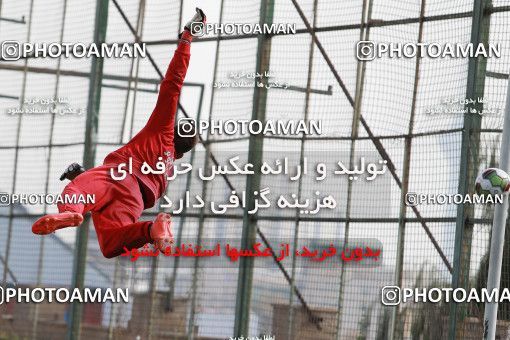 949364, Tehran, , Persepolis Football Team Training Session on 2017/11/22 at 