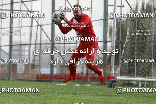 949196, Tehran, , Persepolis Football Team Training Session on 2017/11/22 at 