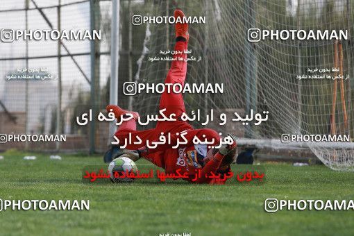 949530, Tehran, , Persepolis Football Team Training Session on 2017/11/22 at 