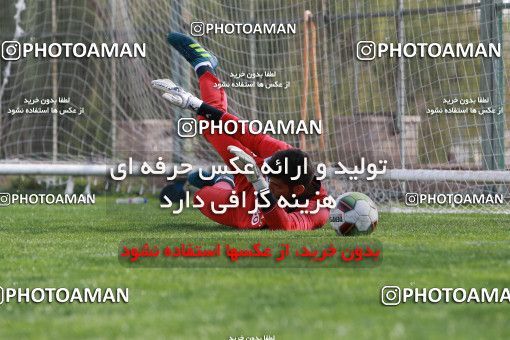 948912, Tehran, , Persepolis Football Team Training Session on 2017/11/22 at 