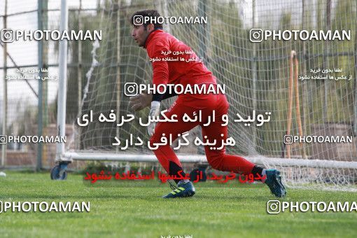949154, Tehran, , Persepolis Football Team Training Session on 2017/11/22 at 