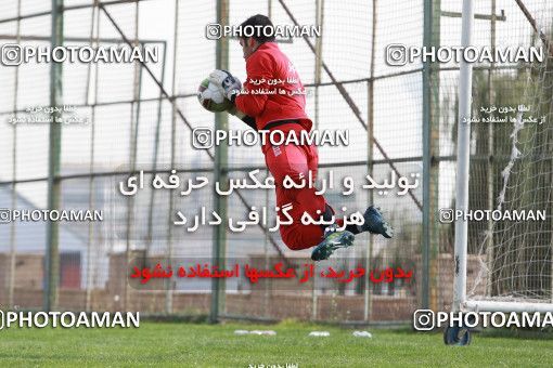 949194, Tehran, , Persepolis Football Team Training Session on 2017/11/22 at 