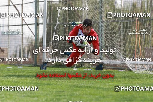 949009, Tehran, , Persepolis Football Team Training Session on 2017/11/22 at 