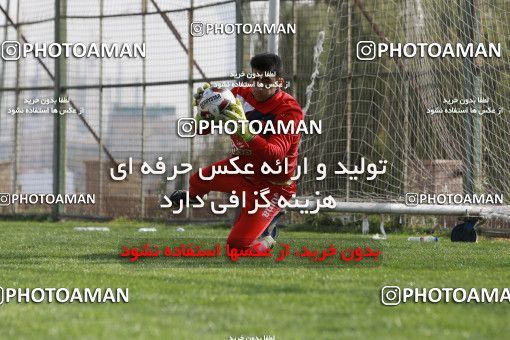 948955, Tehran, , Persepolis Football Team Training Session on 2017/11/22 at 