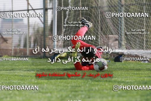 949013, Tehran, , Persepolis Football Team Training Session on 2017/11/22 at 