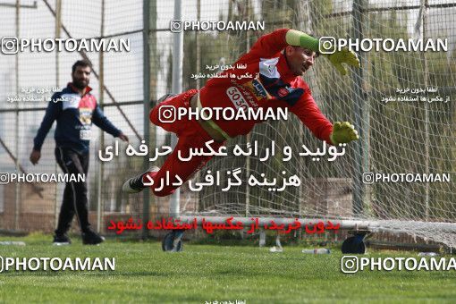 949273, Tehran, , Persepolis Football Team Training Session on 2017/11/22 at 