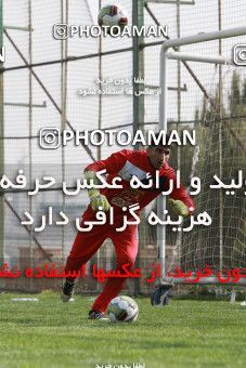 949216, Tehran, , Persepolis Football Team Training Session on 2017/11/22 at 