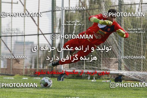 949380, Tehran, , Persepolis Football Team Training Session on 2017/11/22 at 