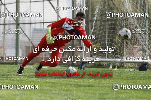 949430, Tehran, , Persepolis Football Team Training Session on 2017/11/22 at 