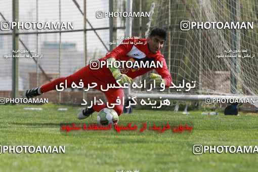 949457, Tehran, , Persepolis Football Team Training Session on 2017/11/22 at 