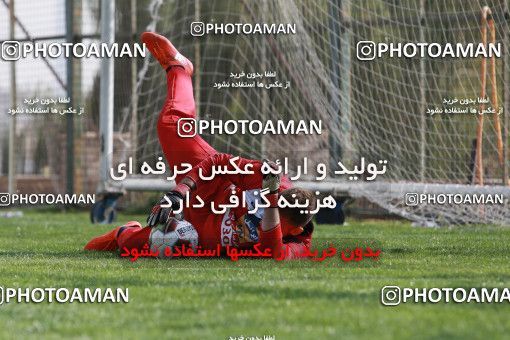 949388, Tehran, , Persepolis Football Team Training Session on 2017/11/22 at 