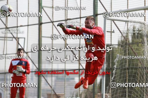949224, Tehran, , Persepolis Football Team Training Session on 2017/11/22 at 