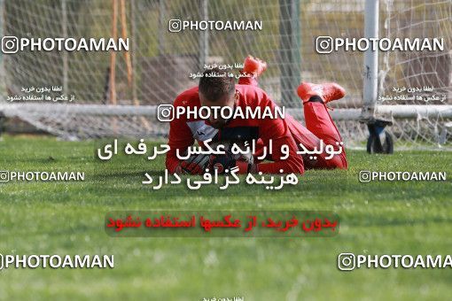 949075, Tehran, , Persepolis Football Team Training Session on 2017/11/22 at 