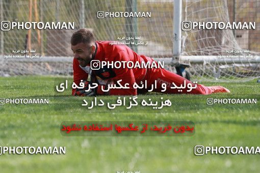 949232, Tehran, , Persepolis Football Team Training Session on 2017/11/22 at 