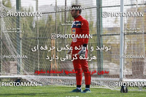 949134, Tehran, , Persepolis Football Team Training Session on 2017/11/22 at 