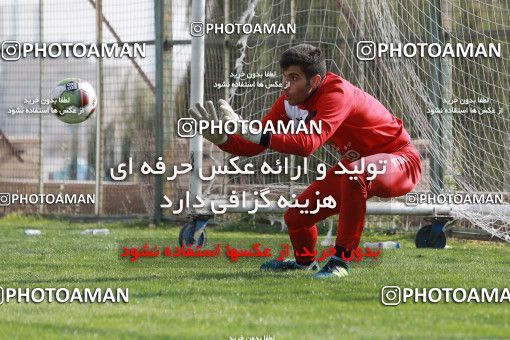 949282, Tehran, , Persepolis Football Team Training Session on 2017/11/22 at 