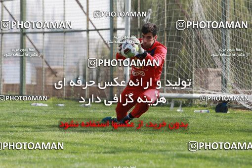 948960, Tehran, , Persepolis Football Team Training Session on 2017/11/22 at 