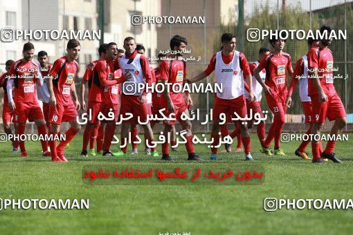 948909, Tehran, , Persepolis Football Team Training Session on 2017/11/22 at 