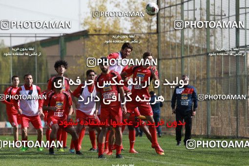 949524, Tehran, , Persepolis Football Team Training Session on 2017/11/22 at 