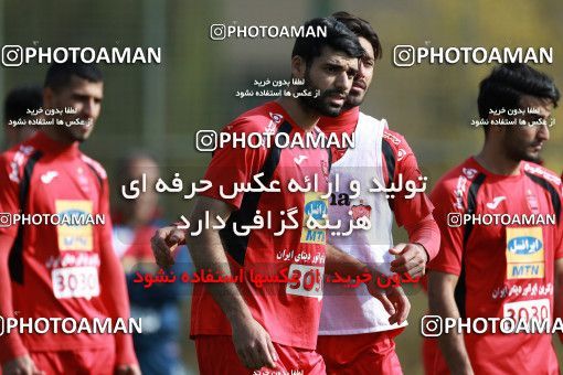 949065, Tehran, , Persepolis Football Team Training Session on 2017/11/22 at 