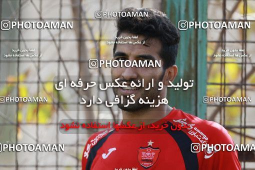 949335, Tehran, , Persepolis Football Team Training Session on 2017/11/22 at 