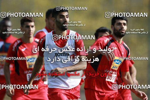 949504, Tehran, , Persepolis Football Team Training Session on 2017/11/22 at 