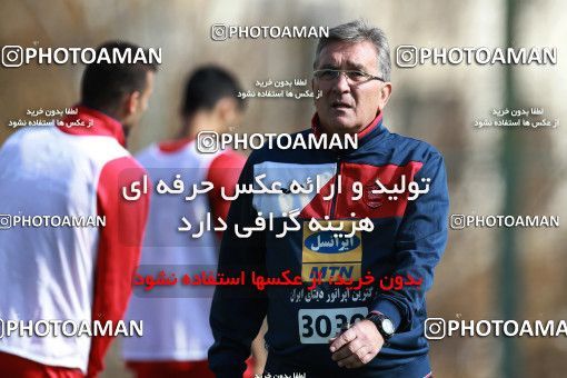 949390, Tehran, , Persepolis Football Team Training Session on 2017/11/22 at 
