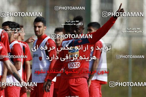 949436, Tehran, , Persepolis Football Team Training Session on 2017/11/22 at 