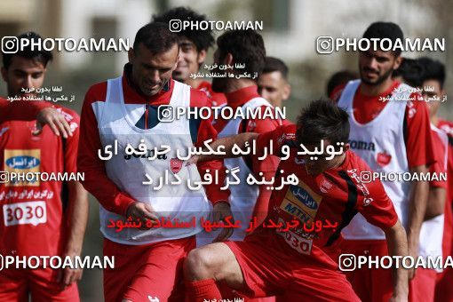 949324, Tehran, , Persepolis Football Team Training Session on 2017/11/22 at 