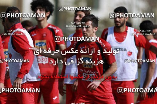 949417, Tehran, , Persepolis Football Team Training Session on 2017/11/22 at 