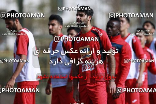949407, Tehran, , Persepolis Football Team Training Session on 2017/11/22 at 