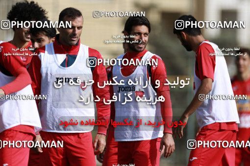 949243, Tehran, , Persepolis Football Team Training Session on 2017/11/22 at 