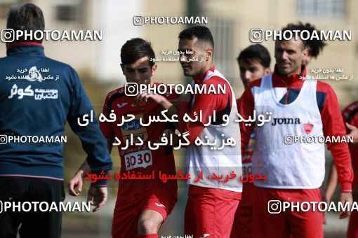 949129, Tehran, , Persepolis Football Team Training Session on 2017/11/22 at 