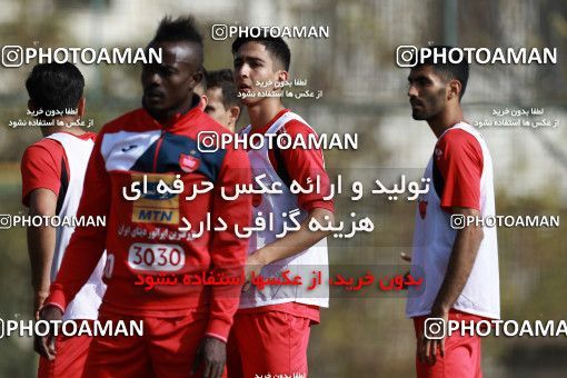 949048, Tehran, , Persepolis Football Team Training Session on 2017/11/22 at 