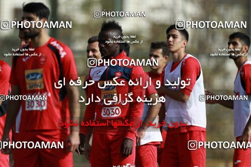 949371, Tehran, , Persepolis Football Team Training Session on 2017/11/22 at 