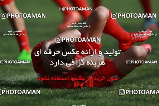 949319, Tehran, , Persepolis Football Team Training Session on 2017/11/22 at 