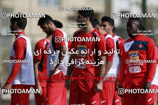 949096, Tehran, , Persepolis Football Team Training Session on 2017/11/22 at 