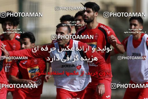 949532, Tehran, , Persepolis Football Team Training Session on 2017/11/22 at 