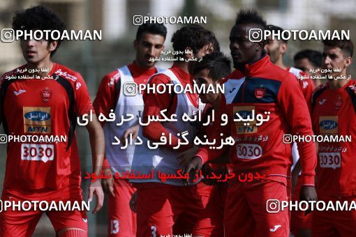 949322, Tehran, , Persepolis Football Team Training Session on 2017/11/22 at 
