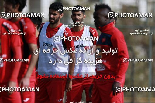 949509, Tehran, , Persepolis Football Team Training Session on 2017/11/22 at 