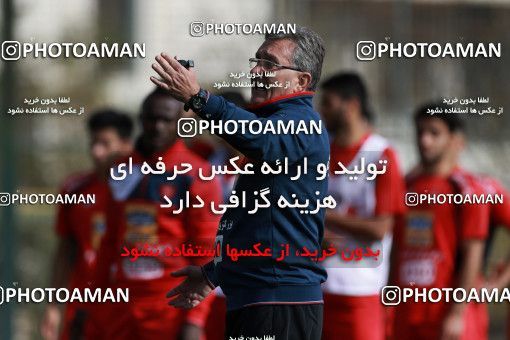 949147, Tehran, , Persepolis Football Team Training Session on 2017/11/22 at 
