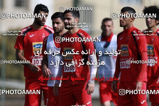 948723, Tehran, , Persepolis Football Team Training Session on 2017/11/22 at 