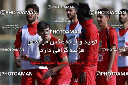 949005, Tehran, , Persepolis Football Team Training Session on 2017/11/22 at 