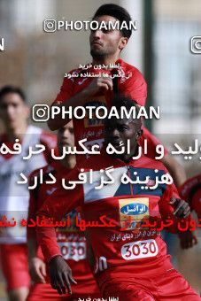 949032, Tehran, , Persepolis Football Team Training Session on 2017/11/22 at 
