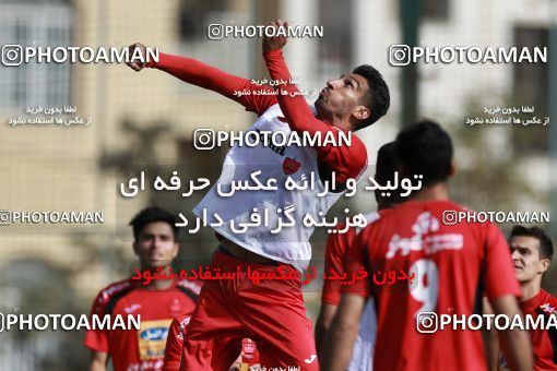 949238, Tehran, , Persepolis Football Team Training Session on 2017/11/22 at 